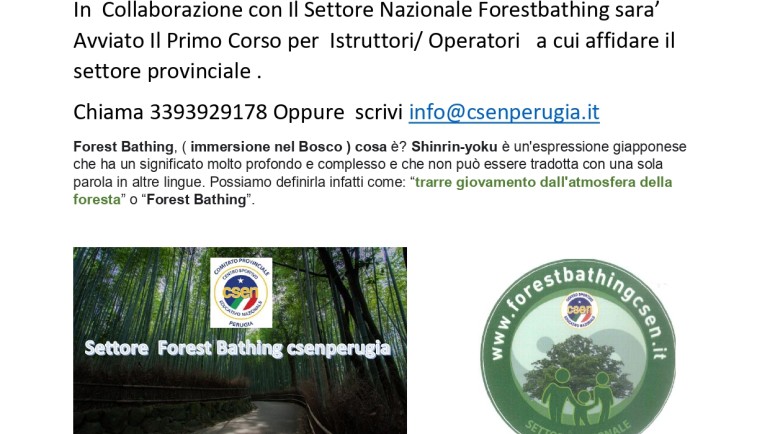 Corso per Istruttori/ Operatori Forest Bathing